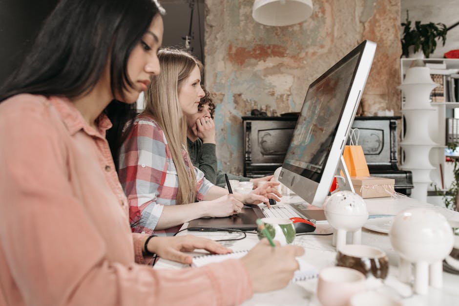 Курсы программирования и веб-дизайна